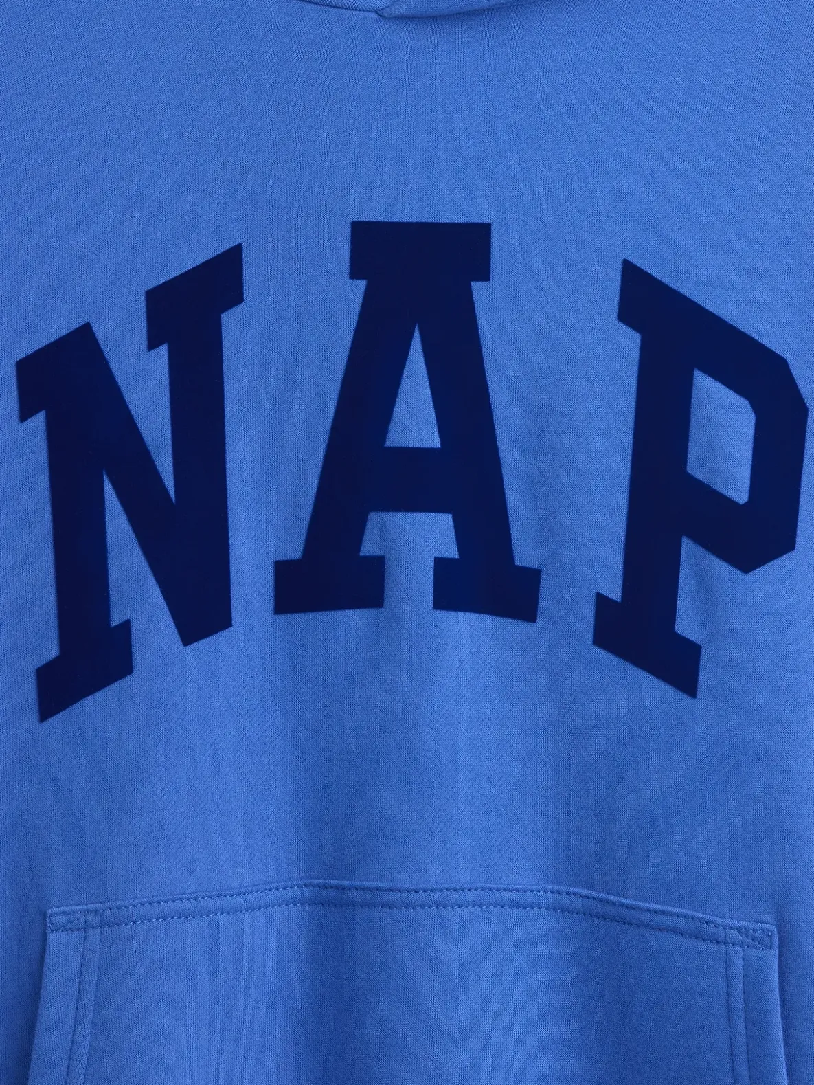 Adult VintageSoft NAP Logo Hoodie