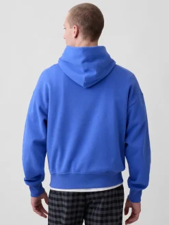 Adult VintageSoft NAP Logo Hoodie