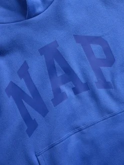 Adult VintageSoft NAP Logo Hoodie