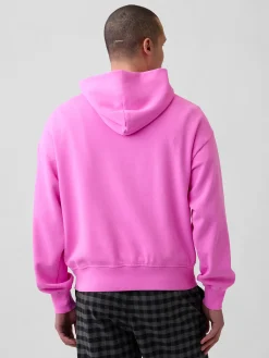 Adult VintageSoft NAP Logo Hoodie