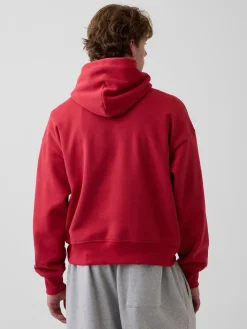 Adult VintageSoft NAP Logo Hoodie