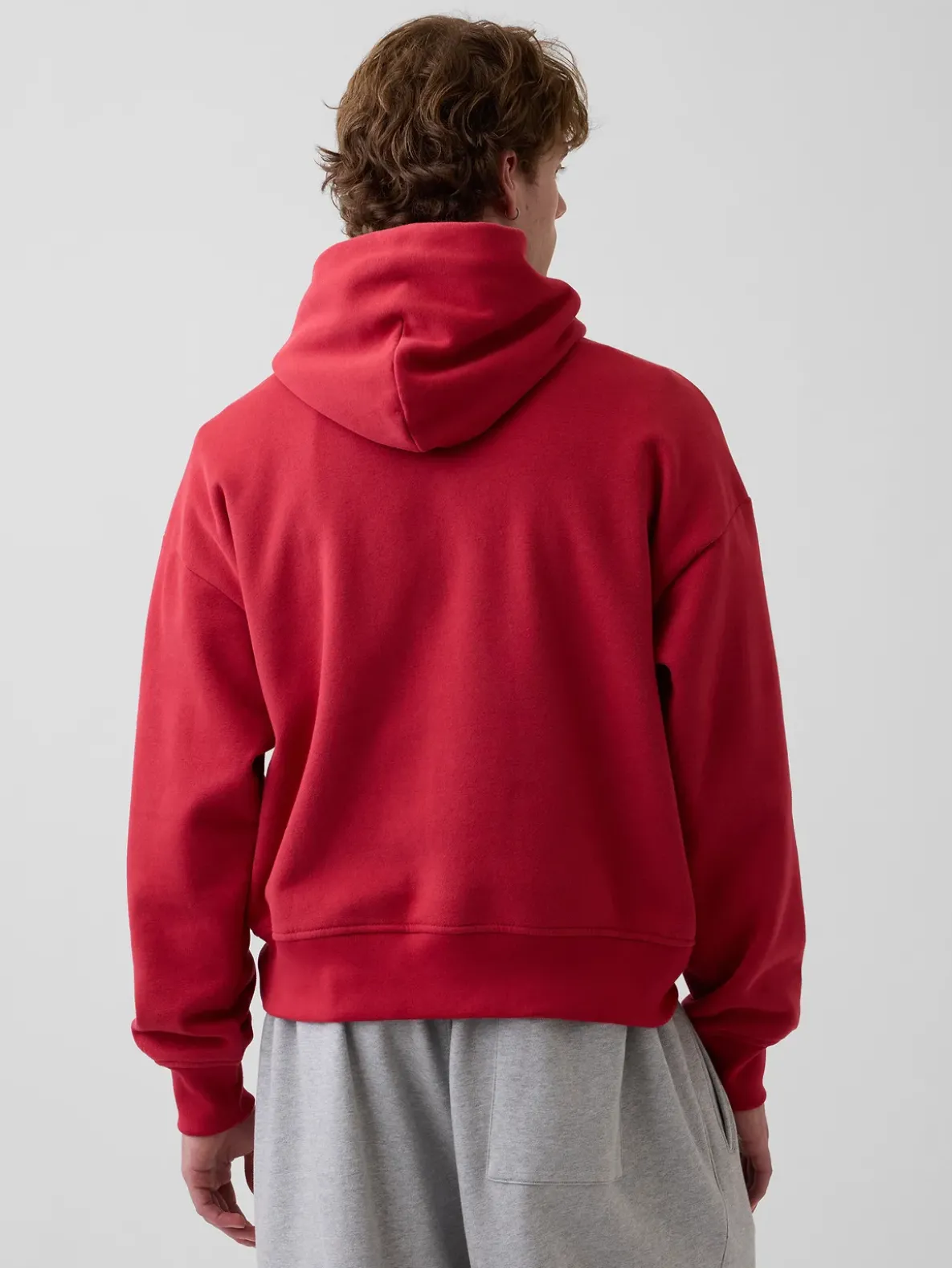Adult VintageSoft NAP Logo Hoodie