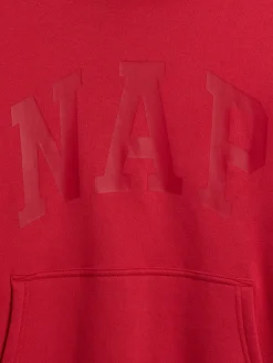 Adult VintageSoft NAP Logo Hoodie