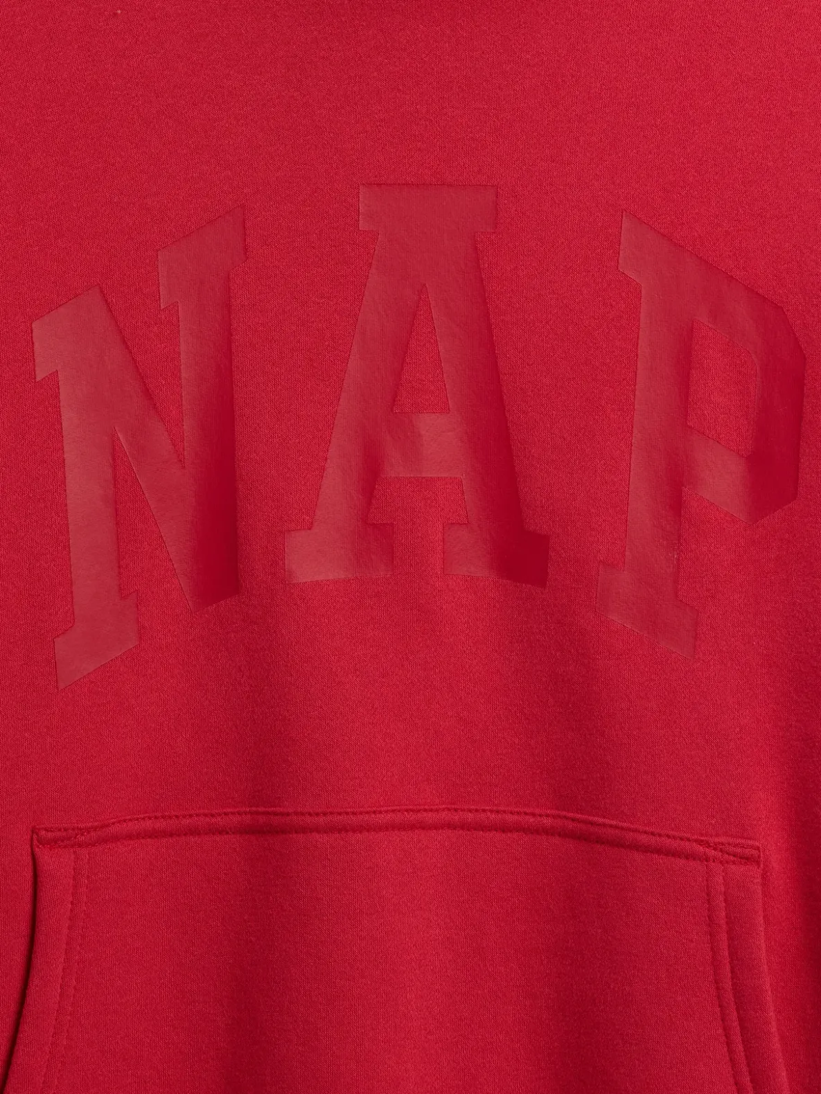 Adult VintageSoft NAP Logo Hoodie