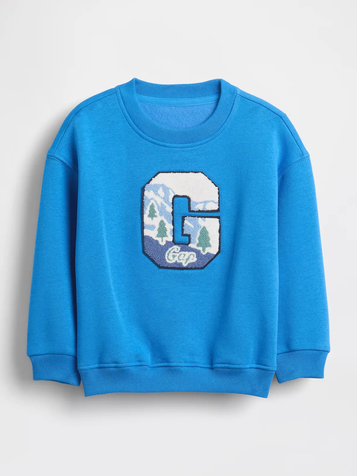 Baby & Toddler VintageSoft Graphic Logo Sweatshirt