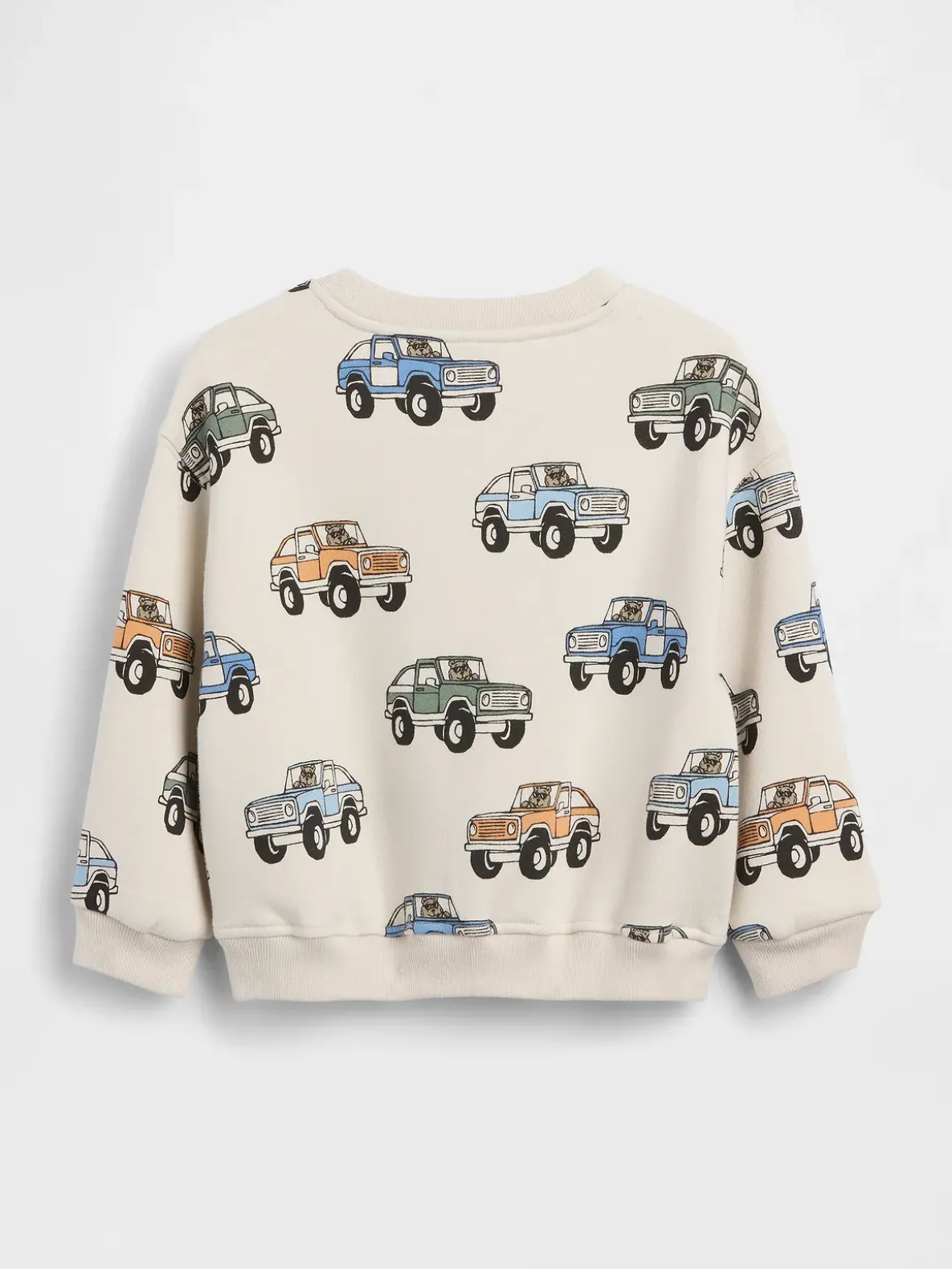 Baby & Toddler VintageSoft Sweatshirt
