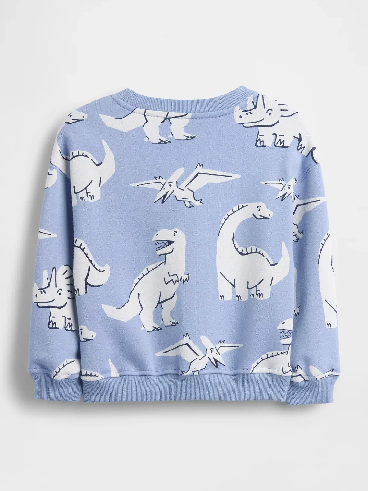 Baby & Toddler VintageSoft Sweatshirt