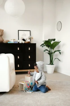 babyGap Legacy Pulls 6 Drawer Dresser