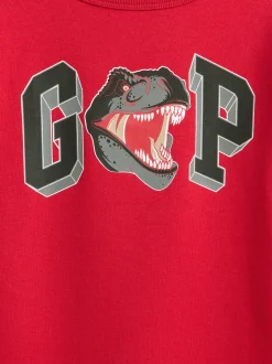 Kids Graphic Logo Sweatshirt