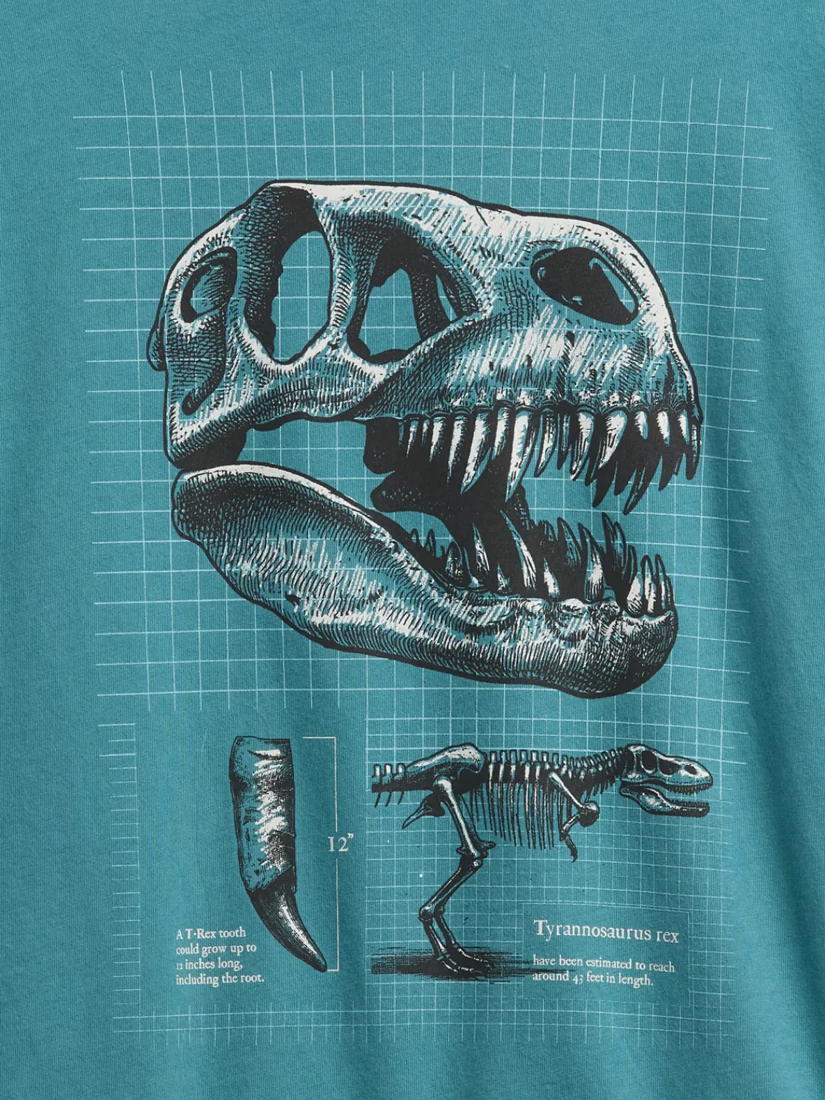 Kids Graphic T-Shirt