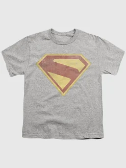 Kids Superman 2025 Logo Full Color Distress Graphic T-Shirt
