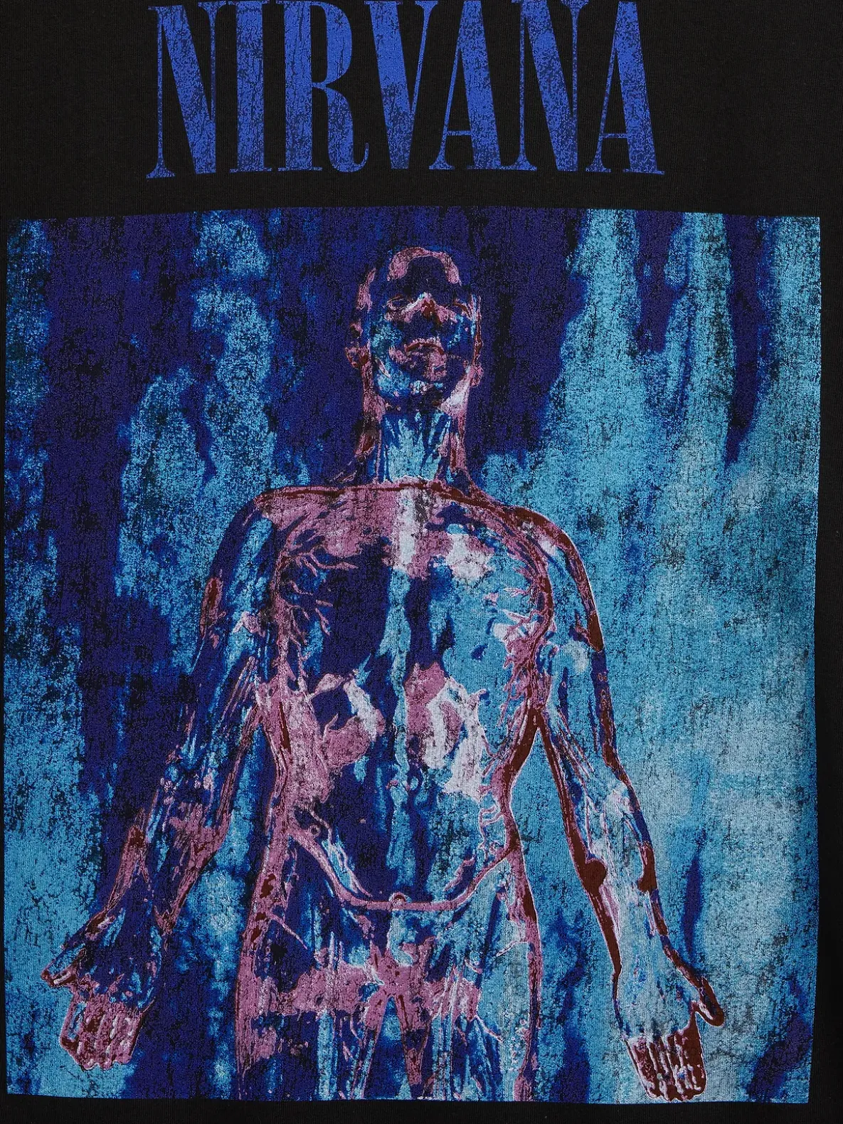Nirvana Heavyweight Crop Graphic T-Shirt