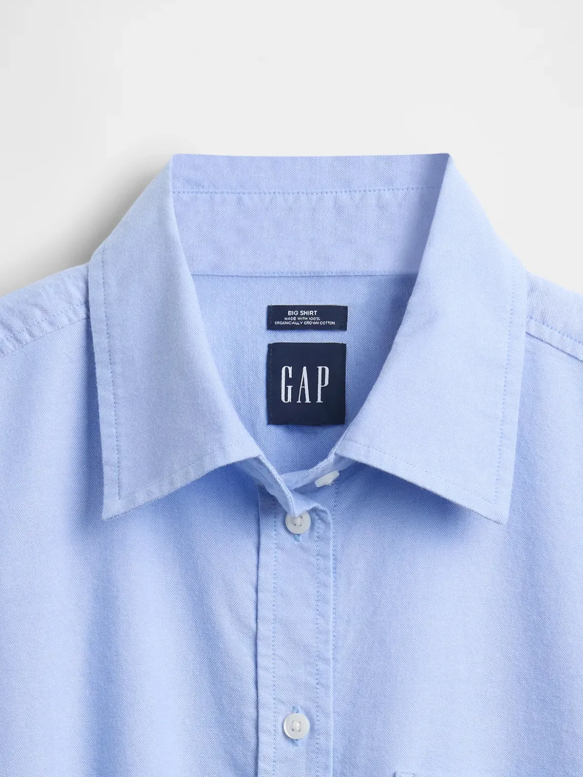Organic Cotton Oxford Big Shirt