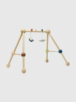 Play Gym