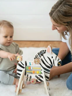 Safari Zebra Activity Toy