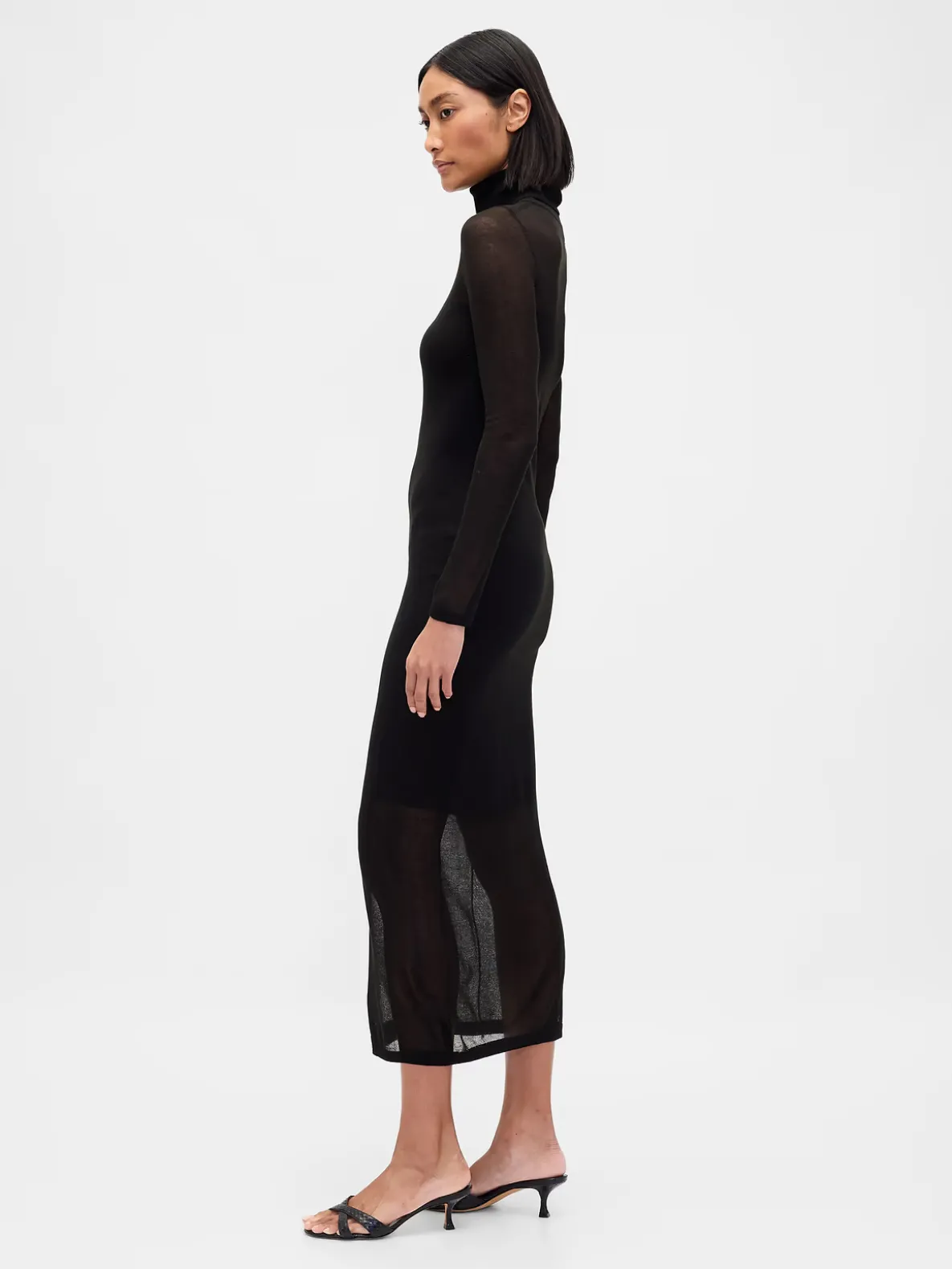 Sheer Turtleneck Maxi Sweater Dress