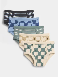 Toddler Organic Stretch Cotton Brannan Bear Briefs (5-Pack)