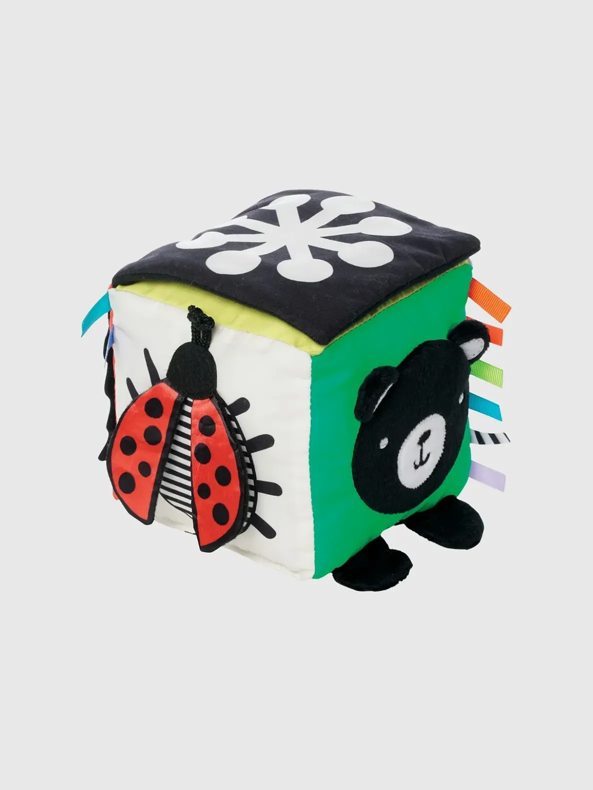 Wimmer Discovery Cube